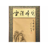 Chinese Calligraphy Writing Water Mountain Scenery Scroll Painting Wall Art ws2099S