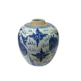 Oriental Handpaint Mythical Small Blue White Porcelain Ginger Jar ws2329S