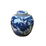 Chinese Hand-paint Seasons Flowers Blue White Porcelain Ginger Jar ws2816S