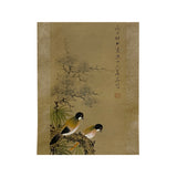 Chinese Color Ink Birds Pine Tree on Tree Scroll Painting Wall Art ws2014S