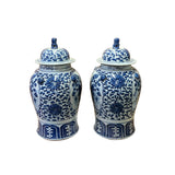 Pair of Chinese Blue White Porcelain Flower Bird Graphic Temple Jars ws2550S
