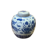 Chinese Hand-paint Flowers Fishes Blue White Porcelain Ginger Jar ws2818S