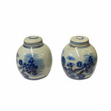 Pair Blue White Mini Oriental Large Flower Porcelain Ginger Jars ws1875S