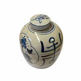 Chinese Oriental Small Blue White Flower Vase Porcelain Ginger Jar ws1863S