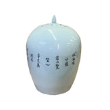 Oriental Distressed Marks Off White Flower Birds Porcelain Oval Jar ws2612S