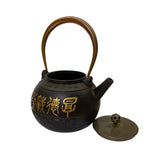 Handmade Quality Asian Cast Iron Teapot Shape Display Art ws2374S