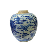 Oriental Handpaint Butterflies Small Blue White Porcelain Ginger Jar ws2310S