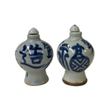 2 x Chinese Porcelain Snuff Bottle With Blue White Characters Graphic ws2766S