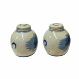 Pair Blue White Mini Oriental Large Flower Porcelain Ginger Jars ws1875S