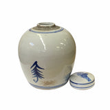 Chinese Oriental Small Blue White 3 Stars God Porcelain Ginger Jar ws1871S