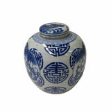 Hand-paint Kids Graphic Blue White Porcelain Ginger Jar ws1722S