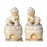 Chinese Pair White Marble Stone Fengshui Foo Dogs Statues cs6970S