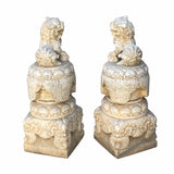 Chinese Pair White Marble Stone Fengshui Foo Dogs Statues cs6970S