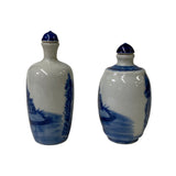 2 x Chinese Porcelain Snuff Bottle With Blue White Scenery Graphic ws1326S