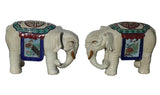 indoor - outdoor elephant