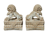 Pair Chinese Off White Marble Like Fengshui Foo Dogs cs1289S
