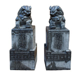 Stone Foo Dogs - Fensghui - Chinese lions
