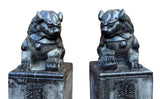 Stone Foo Dogs - Fensghui - Chinese lions