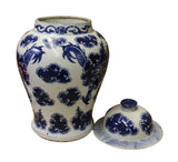 Chinese Blue & White Porcelain Double Dragon Temple General Jar cs2673S