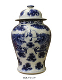 Chinese Blue & White Porcelain Double Dragon Temple General Jar cs2673S