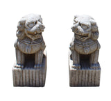 pair stone feng shui foo dog statue