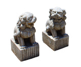 pair stone feng shui foo dog statue
