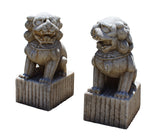 pair stone feng shui foo dog statue