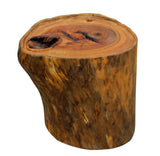 indoor - outdoor garden tree trunk