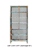 Chinese Distressed Blue Lacquer Display Bookcase Cabinet cs4060S