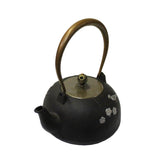 Handmade Quality Asian Heavy Cast Iron Teapot Shape Display Art cs4797S
