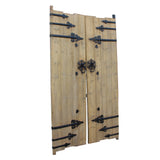 old door - wood gate - door panel