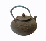 Rustic Handmade Vintage Chinese Heavy Iron Teapot Display Decor cs562S