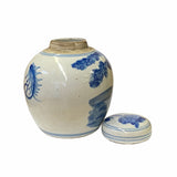 Chinese Oriental Small Blue White Porcelain 3 Gods Theme Ginger Jar ws1860S