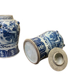 Pair of Chinese Blue White Porcelain Flower Bird Graphic Temple Jars ws2550S