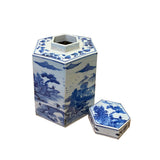 Chinese Blue & White Porcelain Trees Scenery Hexagon Jar Container ws2754S