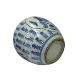 Oriental Handpaint Flower Vase Small Blue White Porcelain Ginger Jar ws2323S