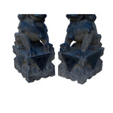 24" Chinese Medium Pair Black Gray Stone Fengshui Foo Dog Statues cs7253S