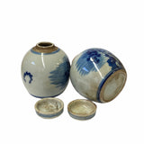 Pair Blue White Mini Oriental Large Flower Porcelain Ginger Jars ws1875S