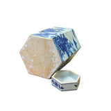 Chinese Blue & White Porcelain Trees Scenery Hexagon Jar Container ws2754S