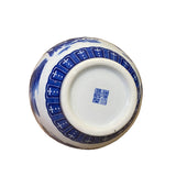 Chinese Oriental Blue White Porcelain Graphic Scenery Vase ws2702S
