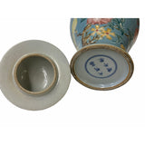 Chinese Pastel Blue Color Flowers Birds Porcelain Temple Jar ws1633S