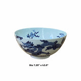 Chinese Blue & White Porcelain Hand Painted Dragon Phoenix Bowl ws1535S