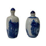 2 x Chinese Porcelain Snuff Bottle With Blue White Scenery Graphic ws1326S