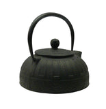 Asian Iron teapot