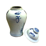 pair porcelain ginger jar