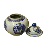 Chinese Oriental Blue Off White Porcelain Phoenix Dragon Container Urn ws1125S