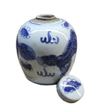 Chinese Oriental Small Blue White Porcelain Ginger Jar ws115S