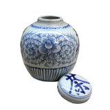 Chinese Oriental Small Blue White Porcelain Ginger Jar ws116S