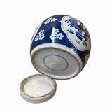 Chinese Blue & White Flower Vase Graphic  Porcelain Ginger Jar ws1227S