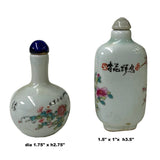 2 x Chinese Porcelain Snuff Bottle With Flowers Birds Graphic ws1233S